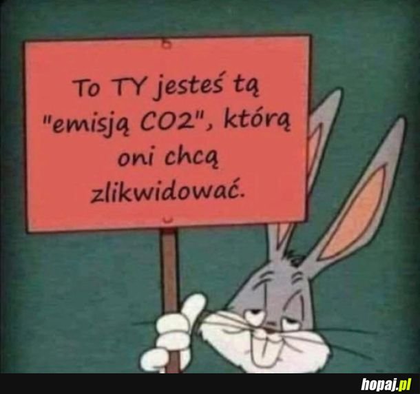 Chyba ty