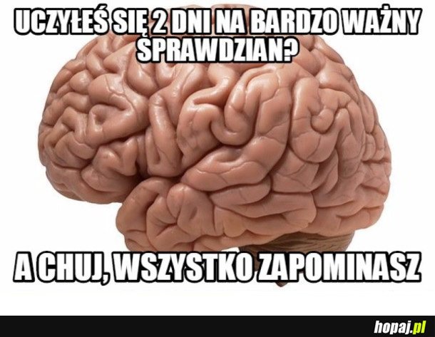MÓZG