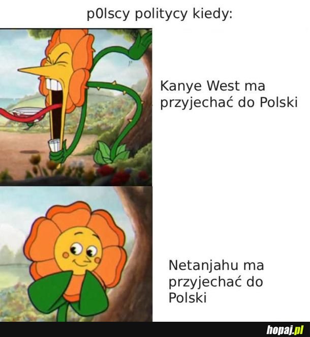 Wszyscy boją sie urazić żydowskiego naziste