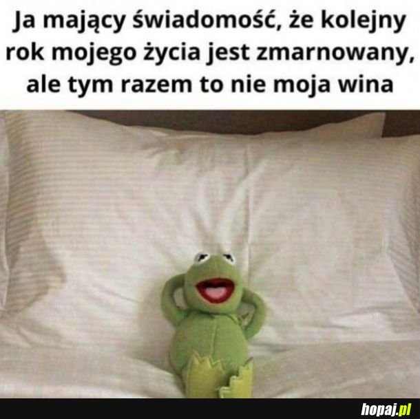 Zmarnowany rok