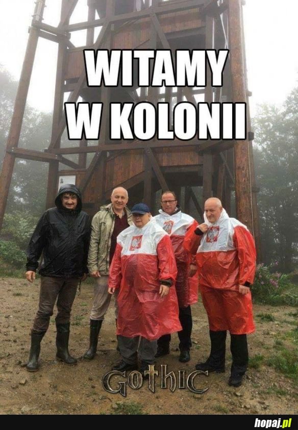 WITAMY W KOLONI