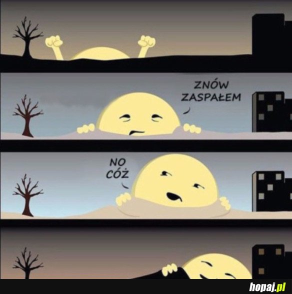 ZIMOWE SŁOŃCE