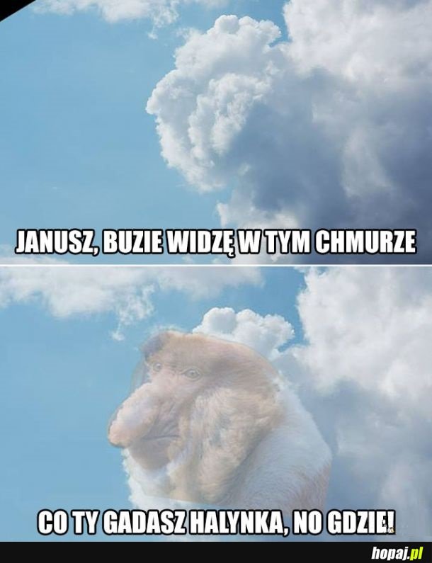 Buzię widzę