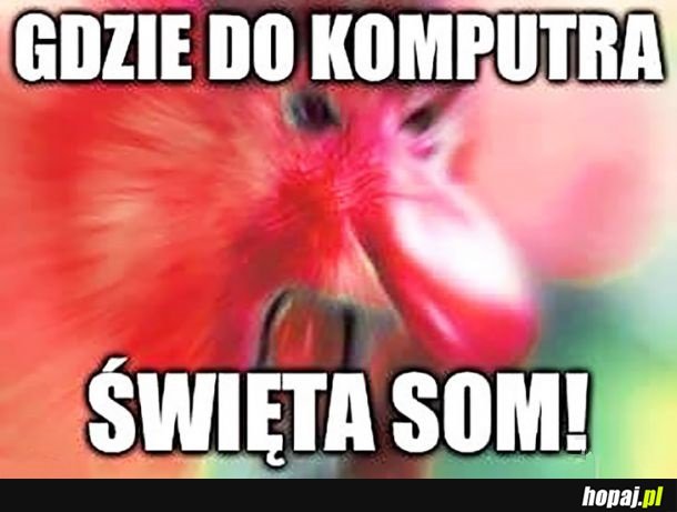 Dzień święty trzeba święcić!