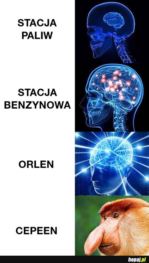 Stacja paliw