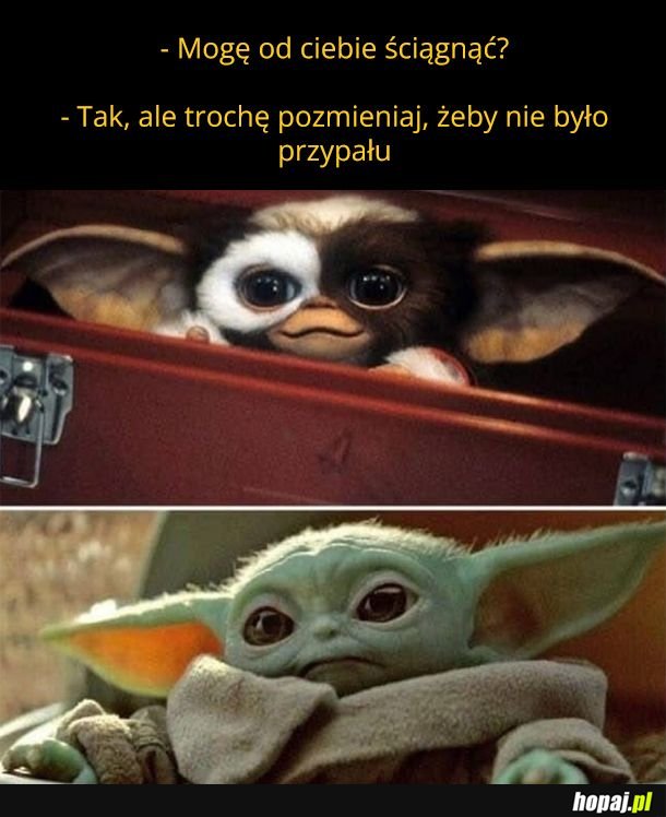 Wiedziałem, że skądś go znam
