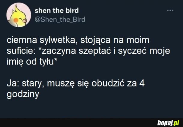Także ten, mógłbyś zachować się ciszej?