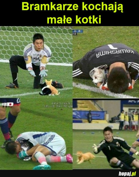 BRAMKARZE KOCHAJĄ KOTKI