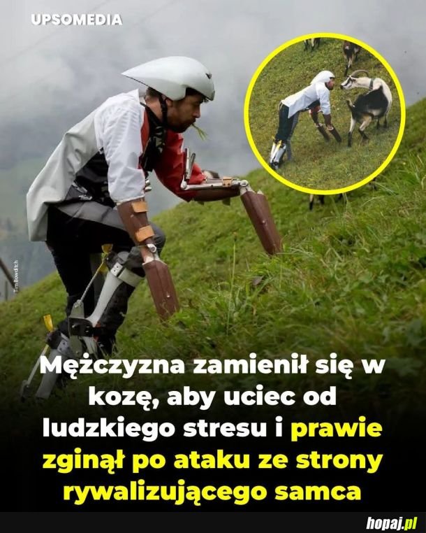 Porzucił ludzkie problemy dla tych zwierzęcych XD