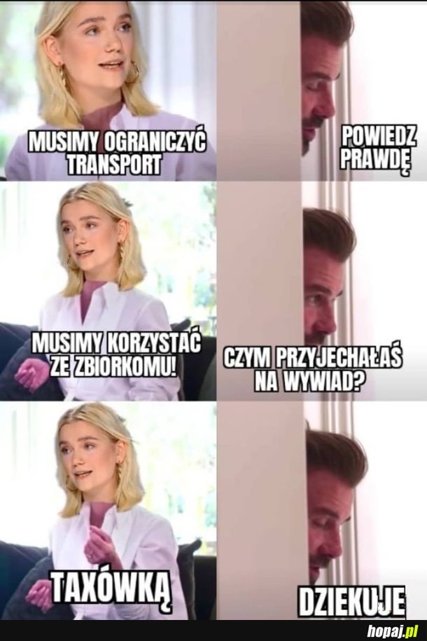 Czy oni cokolwiek rozumieją
