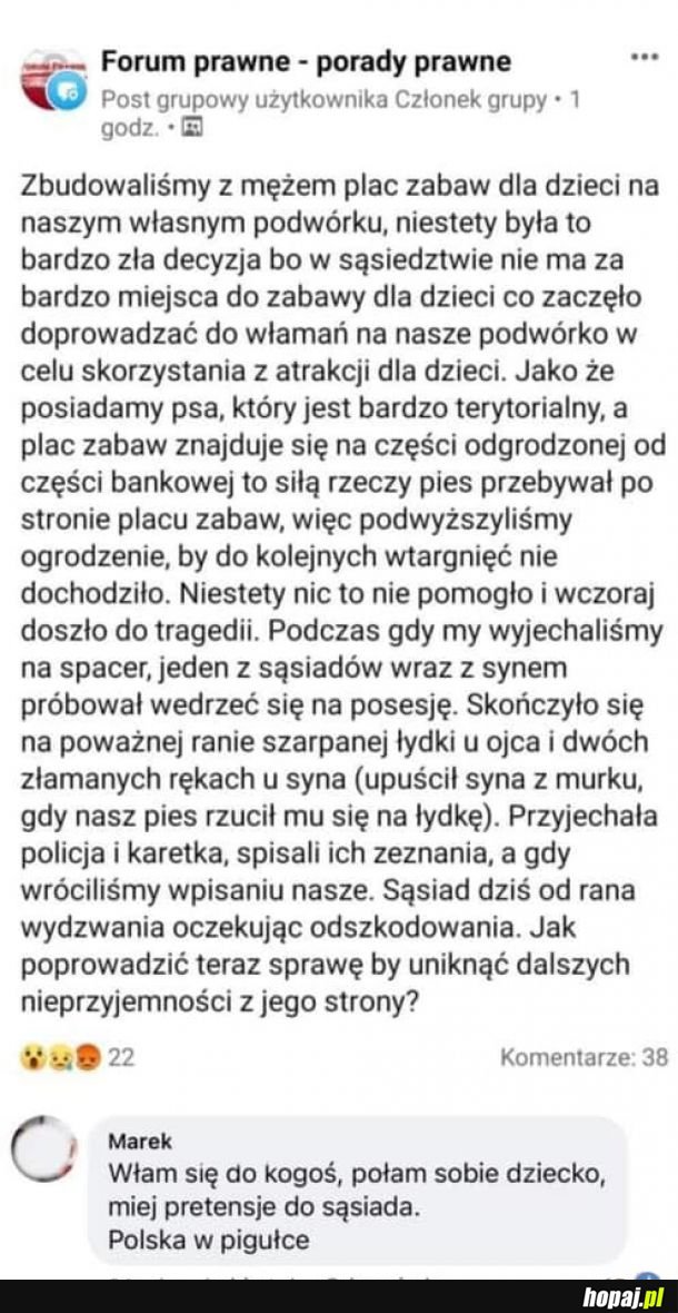 Polacy w pigułce