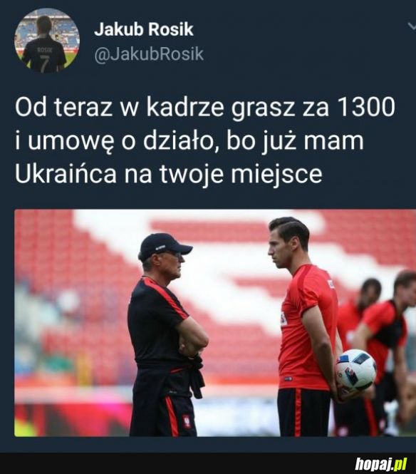 Nie ma wyboru