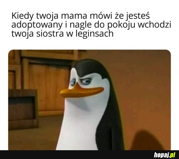 &quot;Bo wiecie&quot;