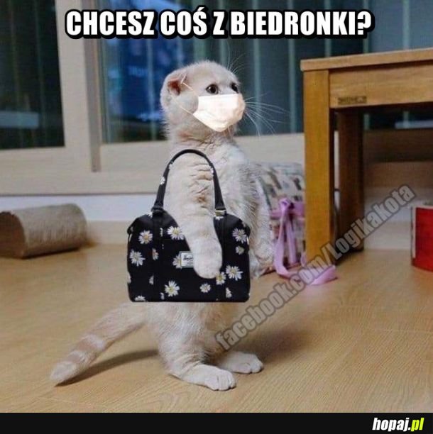 Weź dwa koronawirusy