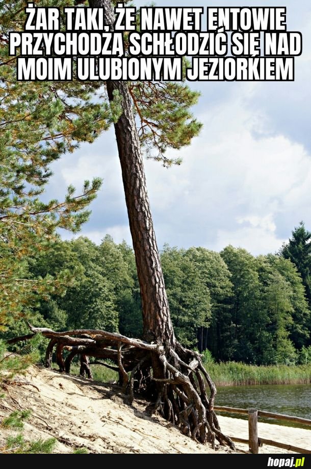 Tak było