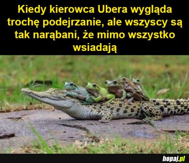 Kierowca Ubera