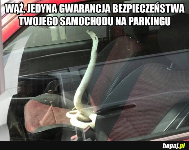 IDEALNE ZABEZPIECZENIE