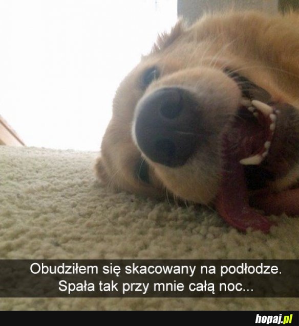 Przyjaciel