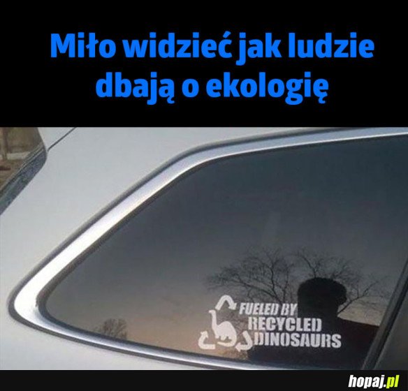DBANIE O EKOLOGIĘ