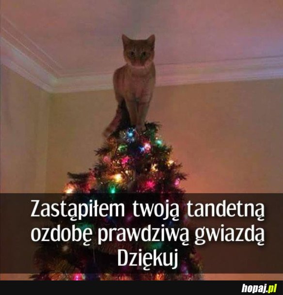 PRAWDZIWA GWIAZDA