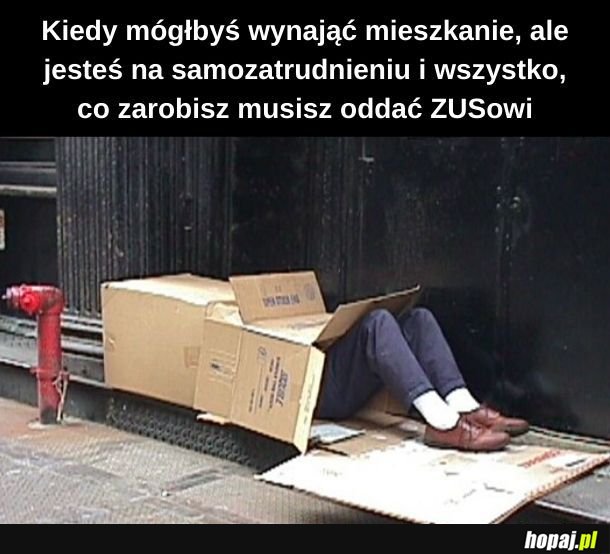Samozatrudnieniowcy zrozumieją