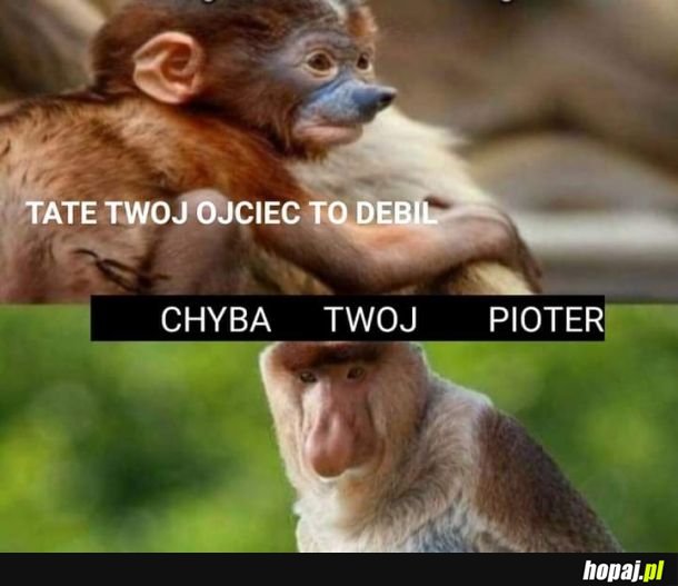 Ojciec debil 