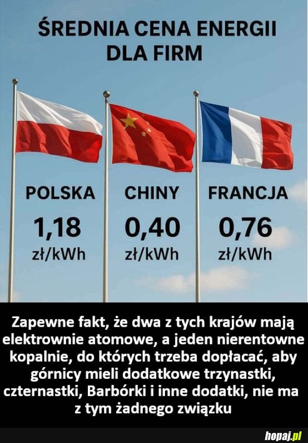 Średnia cena energii dla firm