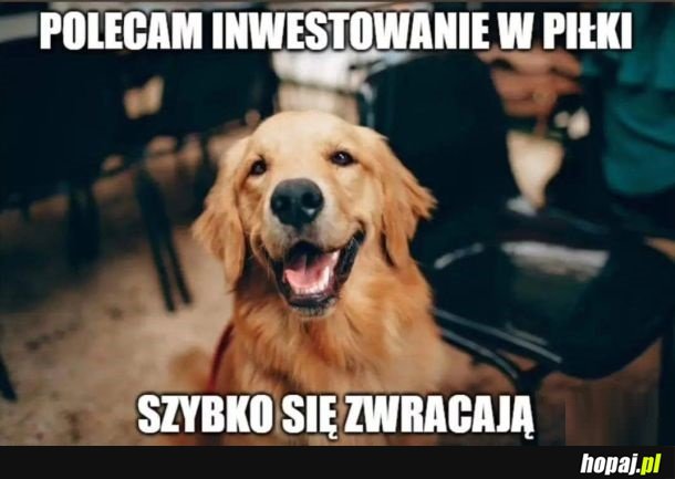 Doradca inwesytycyjny