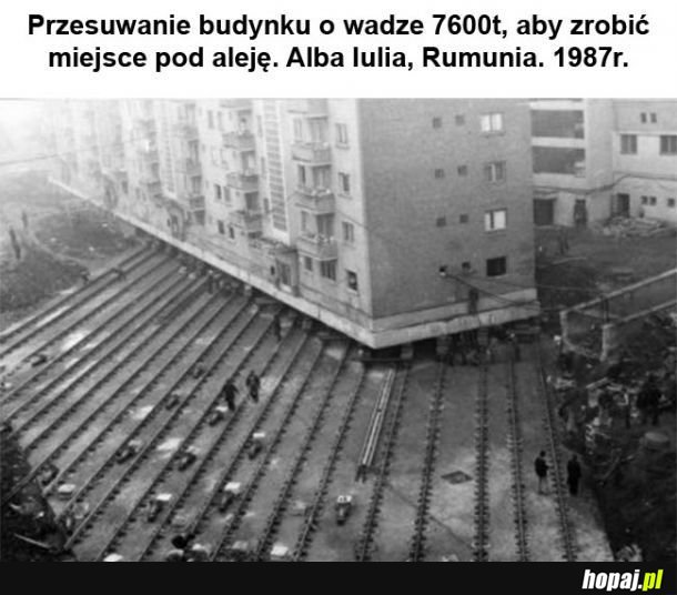 Ciekawostka 