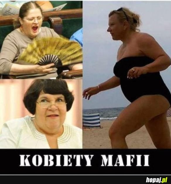 Już w kinach