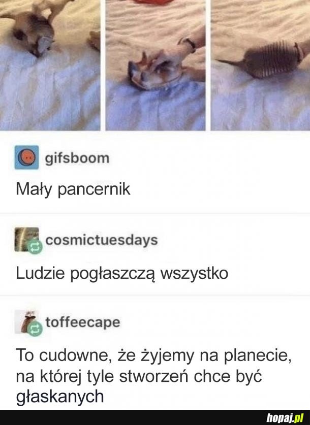 Głaskanie