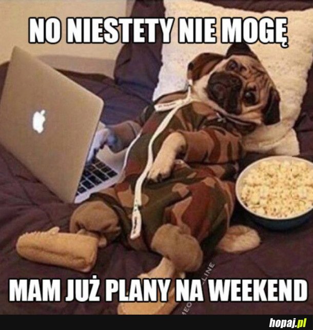 PLANY NA WEEKEND