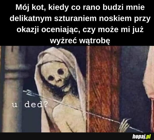 Puszek! Jeszcze nie!