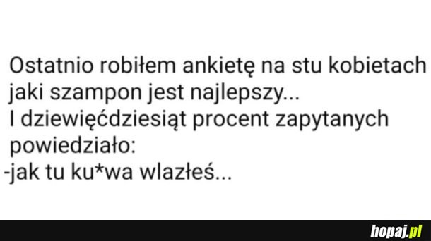 Ankieta