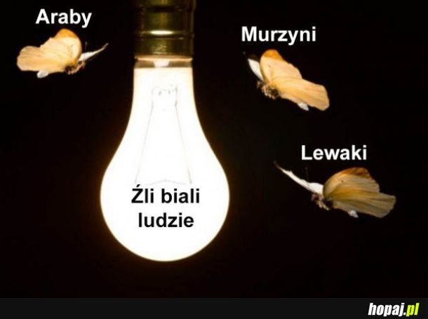 Tak to wygląda