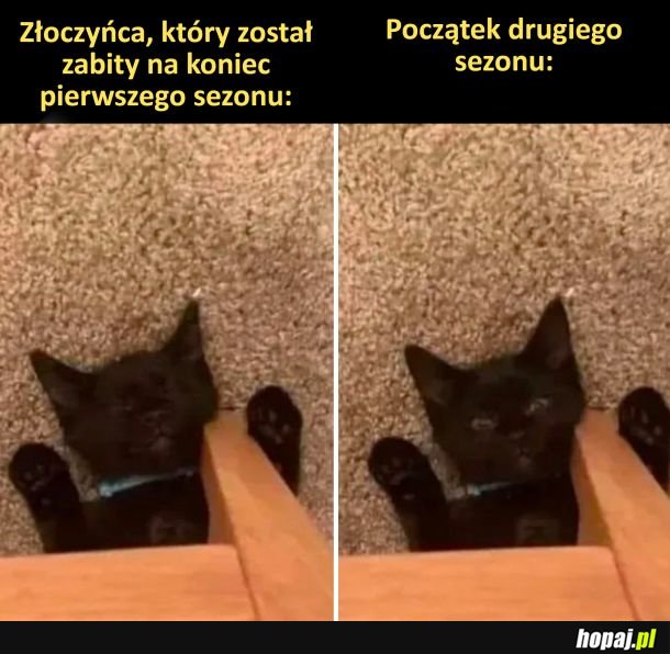 Złoczyńca