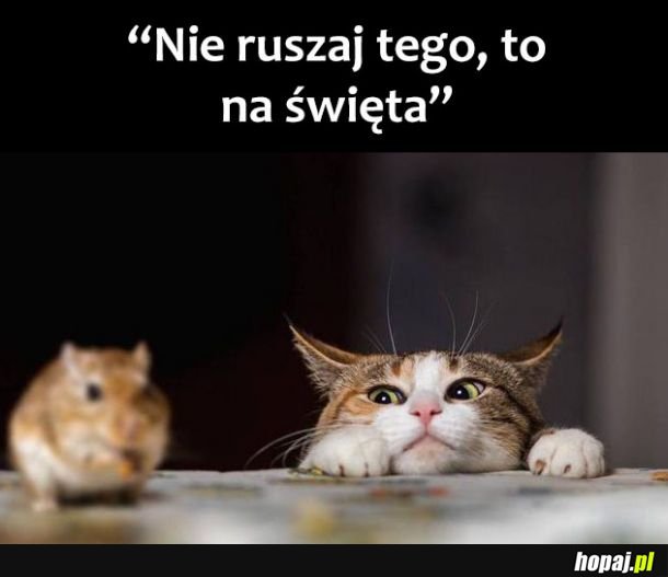 Jedzenie