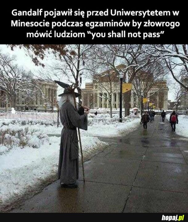 Co za śmieszek