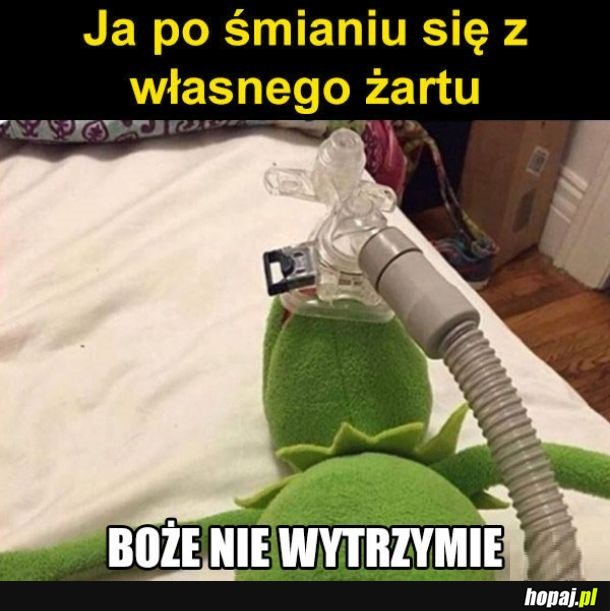 Moje żarty