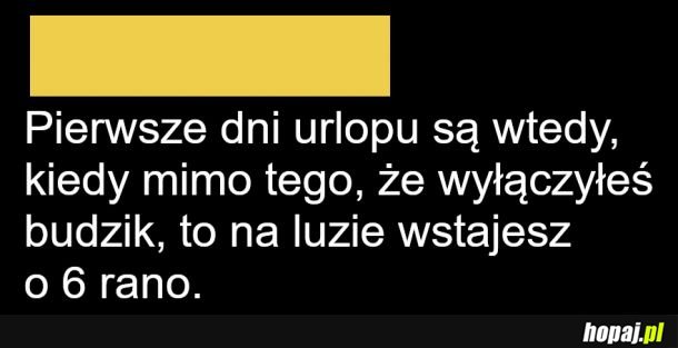 Urlop