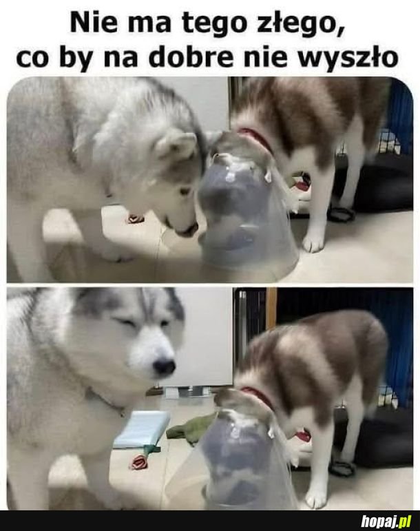 Nie ma tego złego