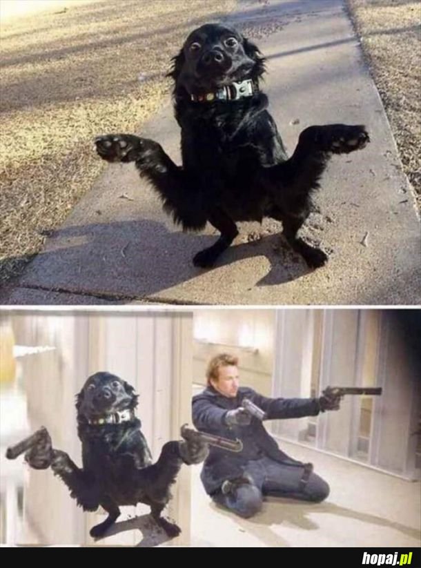 Uwaga strzelam