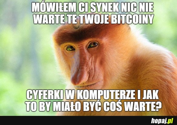NO I PO CO CI TO BYŁO