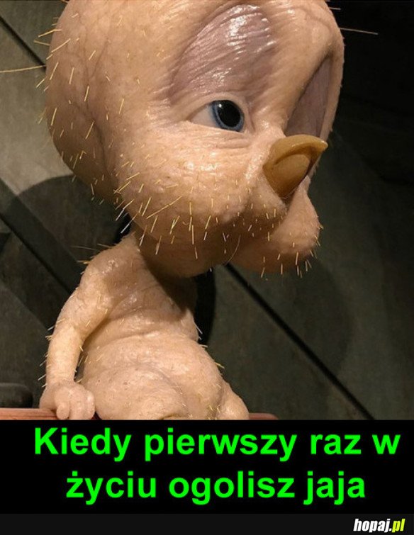 TO UCZUCIE