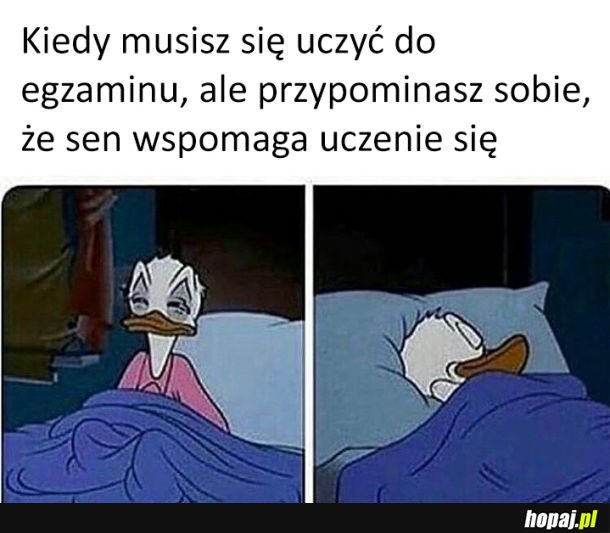 Sen jest najważniejszy