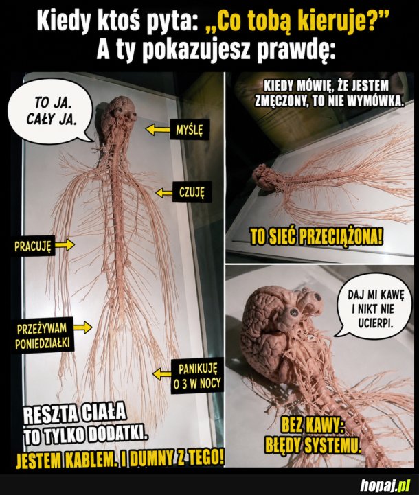 Reszta to wypełniacz