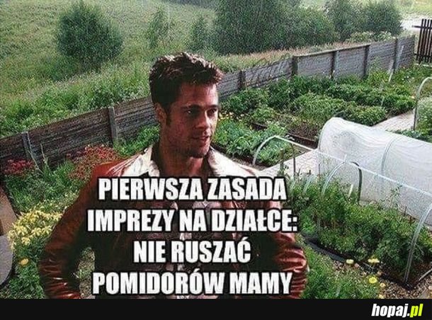 Pierwsza zasada