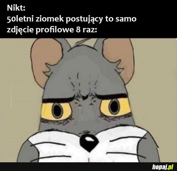 Tak to mniej więcej wygląda 