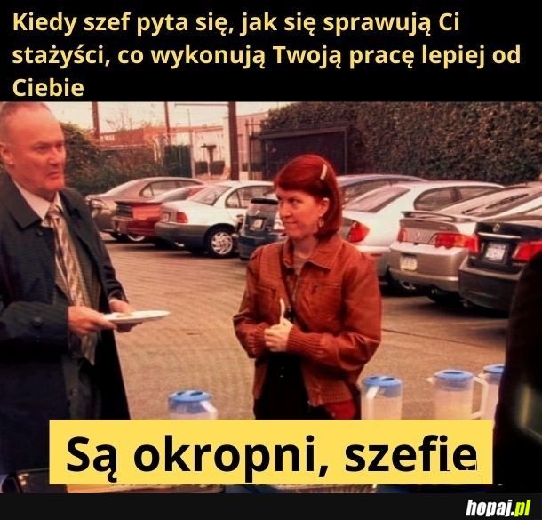 Stażyści