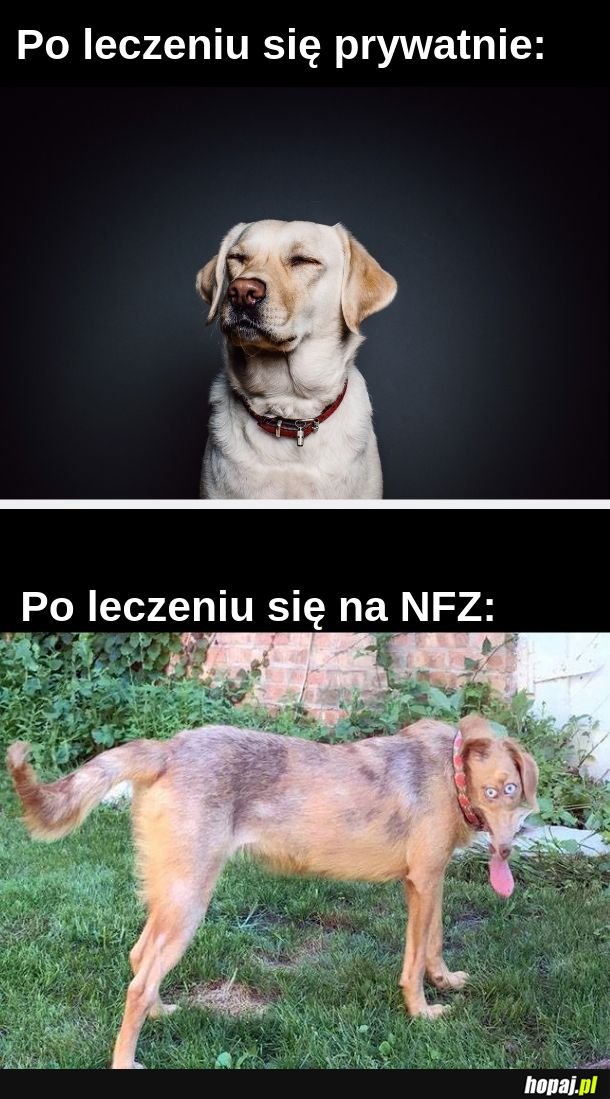 Jest różnica 